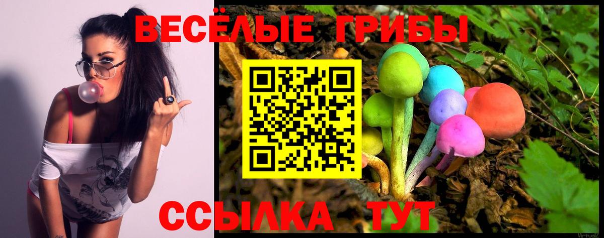Метамфетамин Камышин