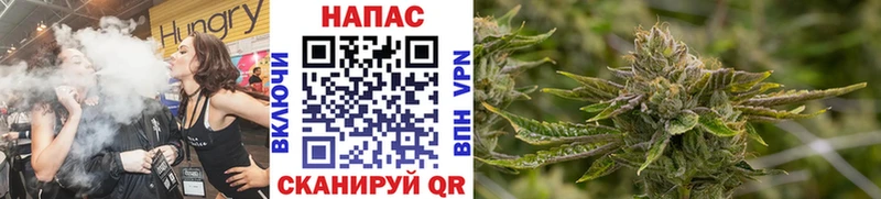 как найти наркотики  darknet Telegram  Марихуана Ganja  Камышин 