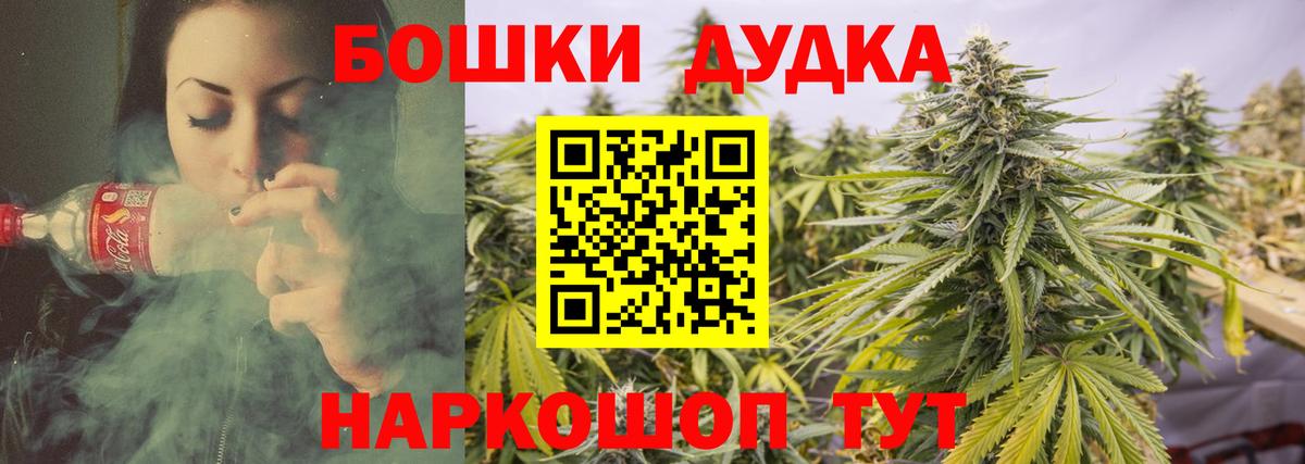 Канабис сатива Камышин